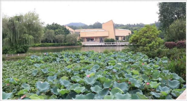 微信截圖_20180712180510.png