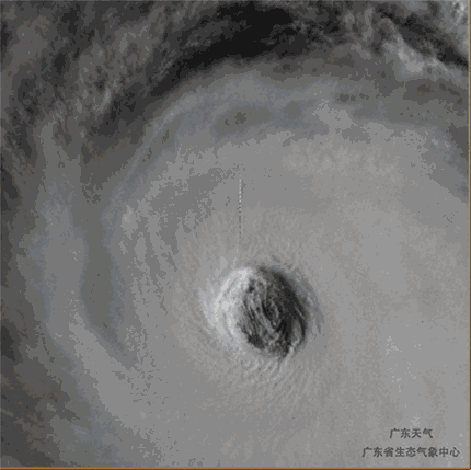微信圖片_20180917091632.gif