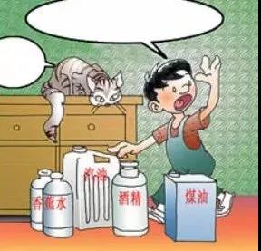 微信圖片_20190210124615.jpg